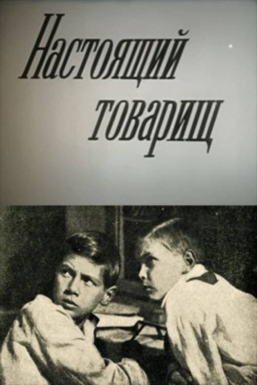 Постер: Настоящий товарищ