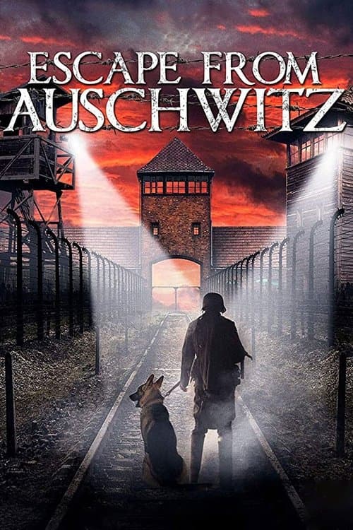 Постер: The Escape from Auschwitz