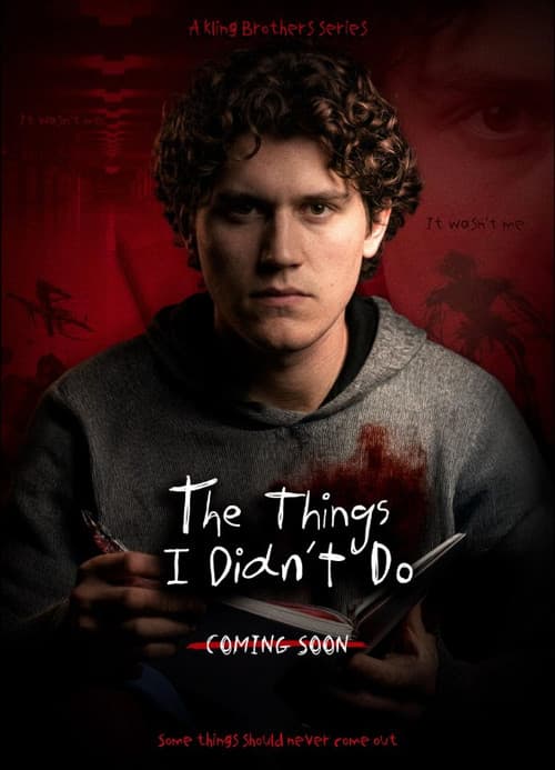 Постер: The Things I Didn't Do