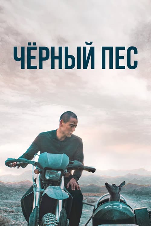 Постер 3