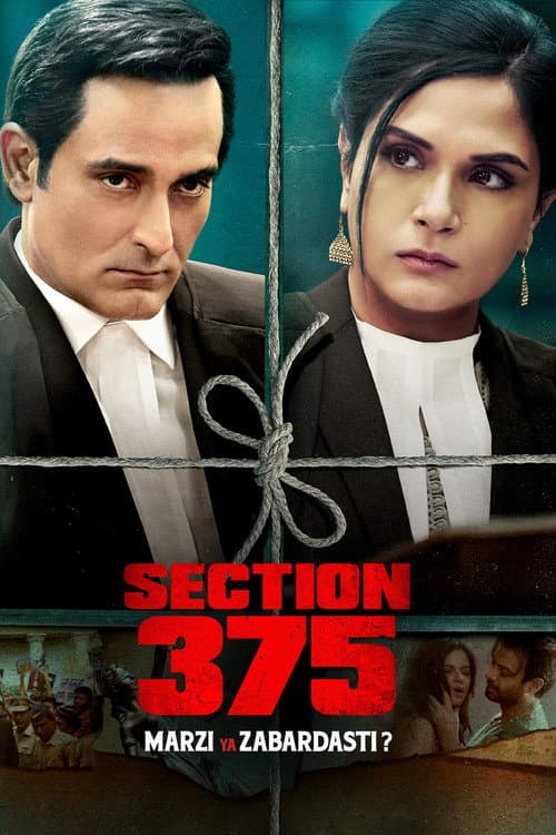 Постер: Section 375