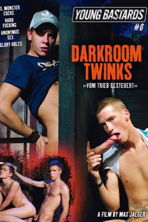 Постер: Young Bastards 6: Darkroom Twinks