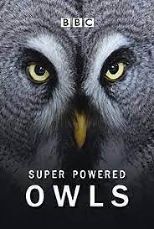Постер: Super Powered Owls