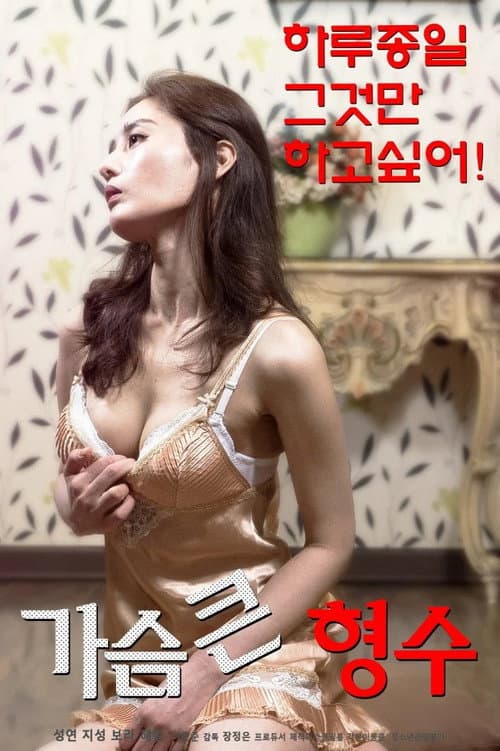 Постер: 가슴 큰 형수