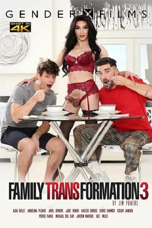 Постер: Family Transformation 3