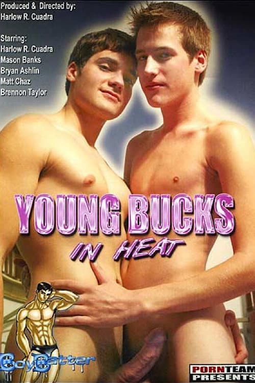 Постер: Young Bucks in Heat