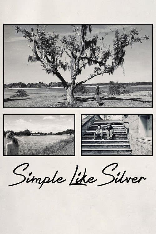 Постер: Simple Like Silver