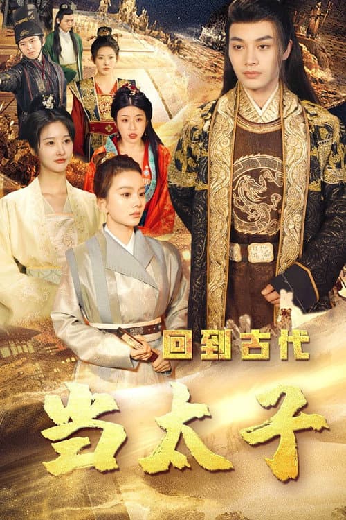 Постер: 回到古代当太子