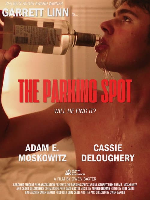 Постер: The Parking Spot