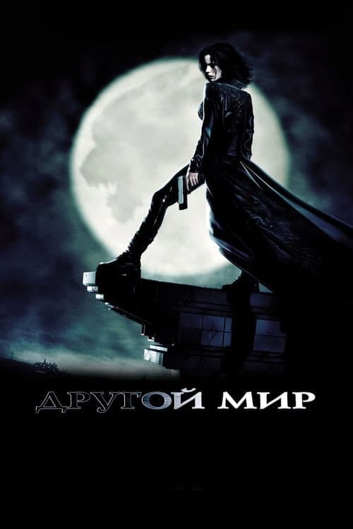 Кадр 12