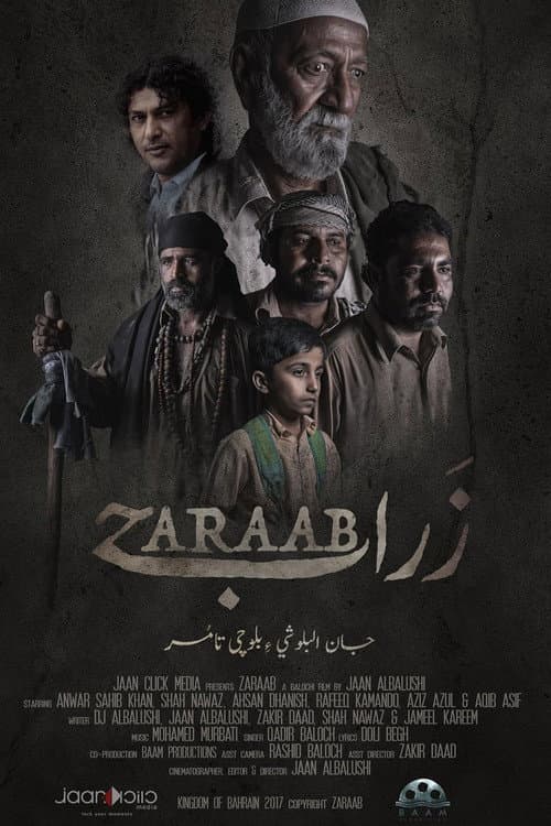 Постер: Zaraab