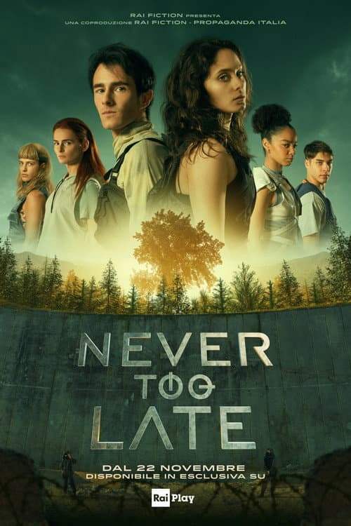 Постер: Never Too Late