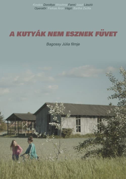 Постер: A kutyák nem esznek füvet