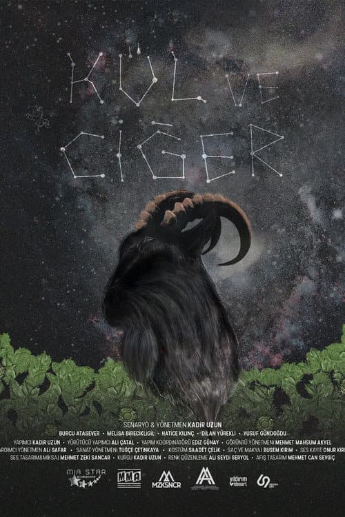 Постер: Kül ve Ciğer