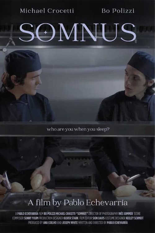 Постер: Somnus