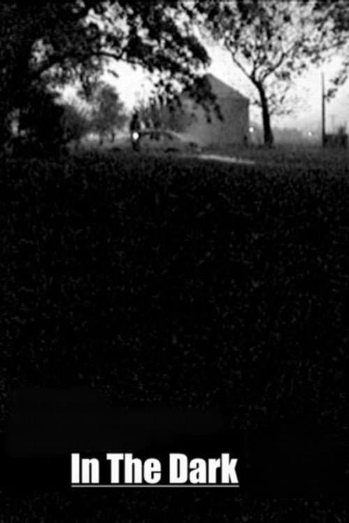 Постер: In the Dark