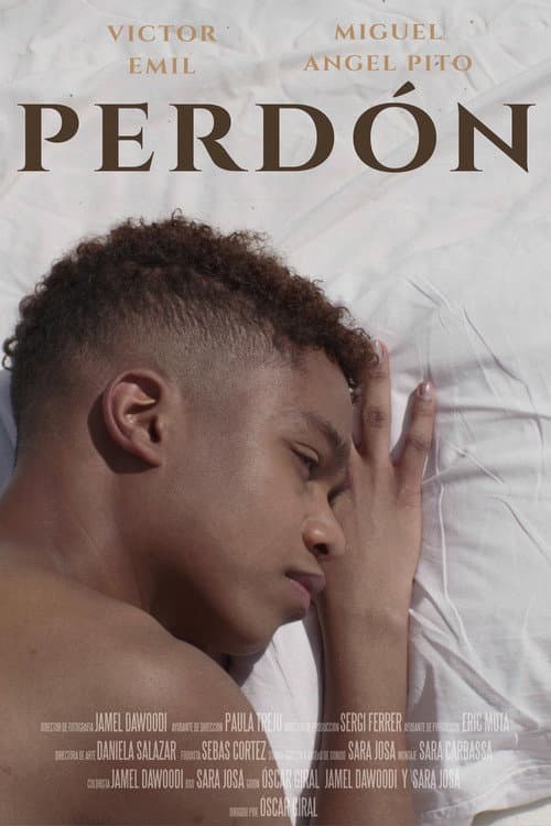 Постер: PERDÓN