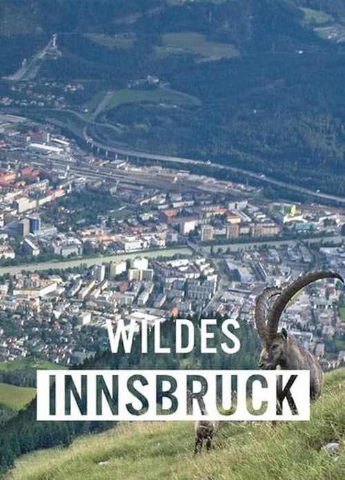 Постер: Wildes Innsbruck: Zwischen Moderne und alpiner Wildnis