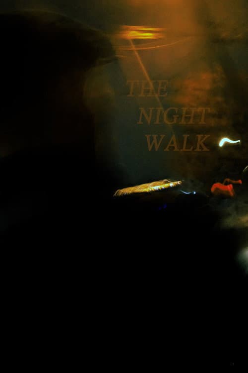 Постер: The Night Walk