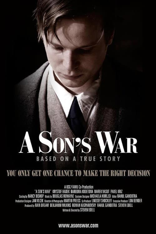 Постер: A Son's War