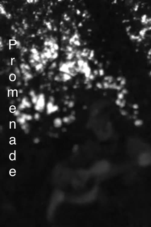 Постер: Promenade