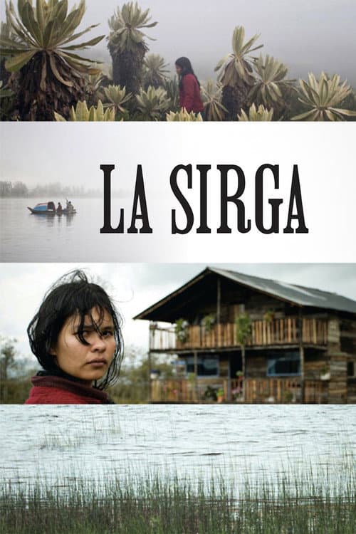 Постер: La Sirga