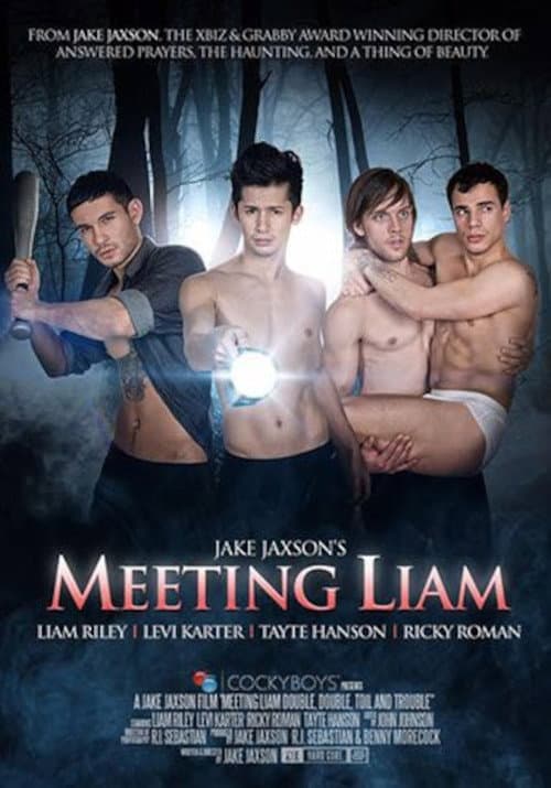 Постер: Meeting Liam