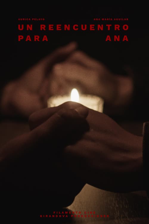 Постер: Un Reencuentro Para Ana