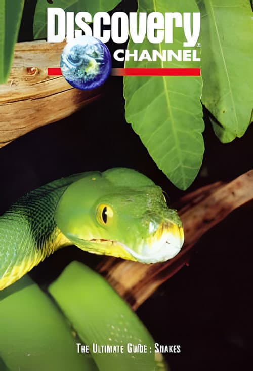 Постер: The Ultimate Guide: Snakes