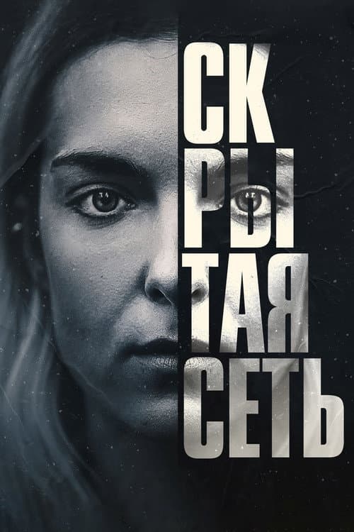 Постер: Скрытая сеть