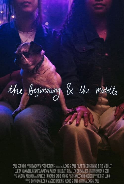 Постер: The Beginning & the Middle