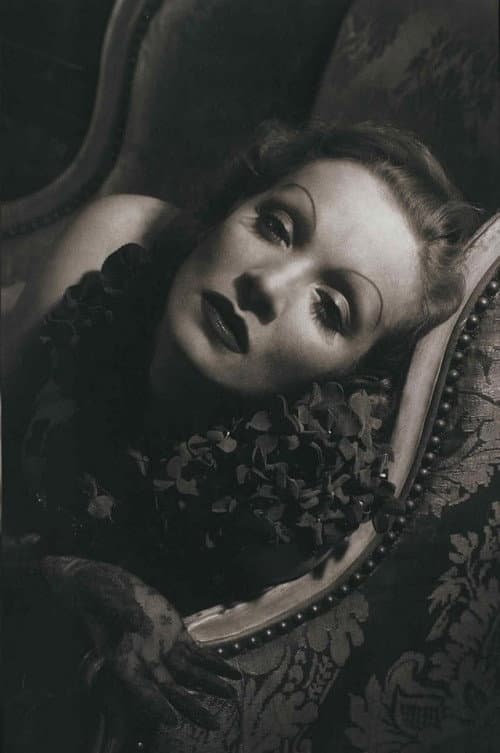 Постер: Marlene Dietrich: Shadows and Light