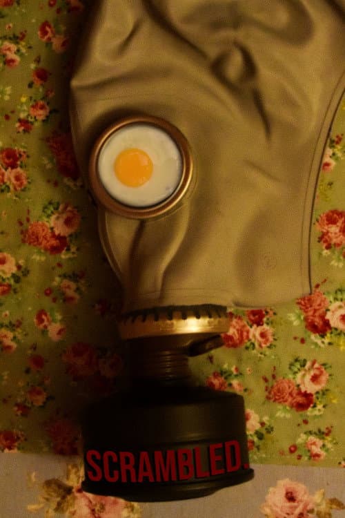 Постер: Scrambled.