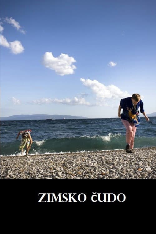 Постер: Zimsko čudo
