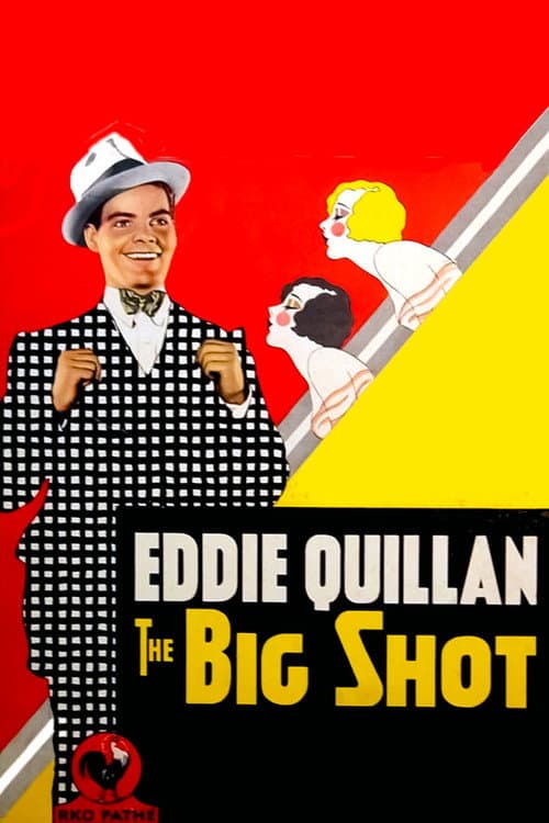 Постер: The Big Shot
