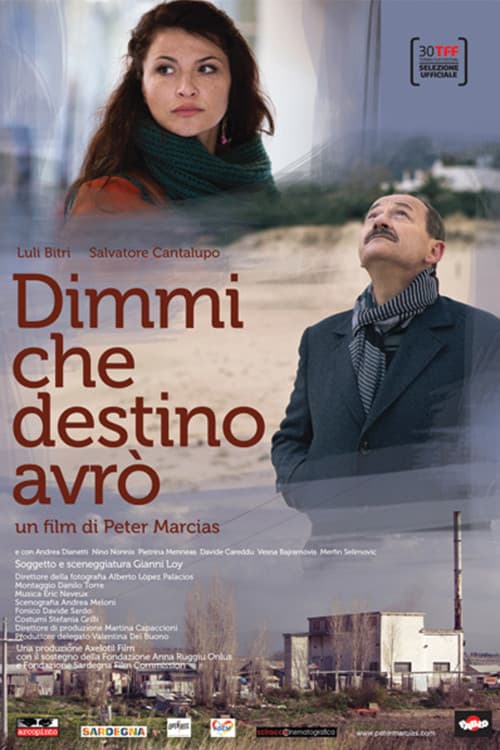 Постер: Dimmi che destino avrò
