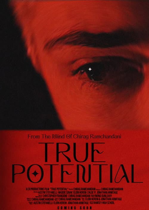 Постер: True Potential