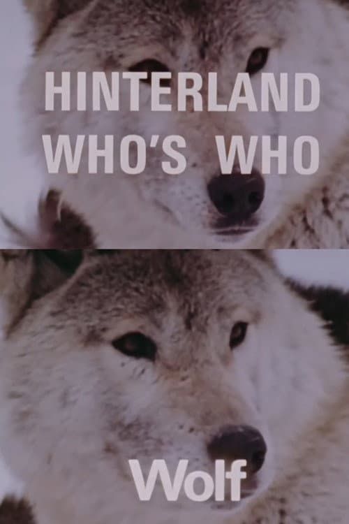 Постер: Hinterland Who's Who: Wolf