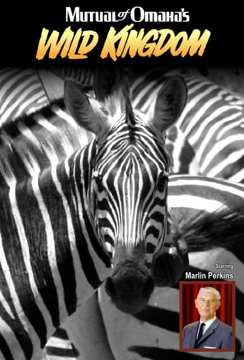 Постер: Mutual of Omaha's Wild Kingdom