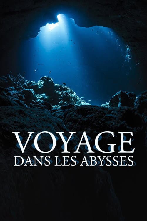 Постер: Voyage dans les abysses