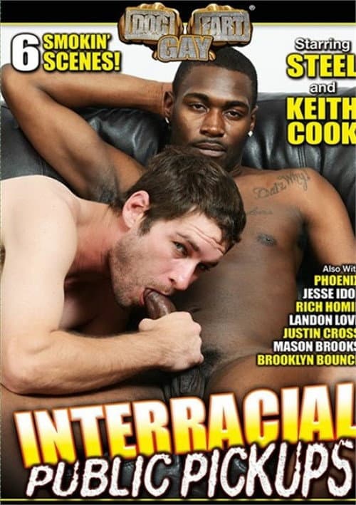 Постер: Interracial Public Pickups