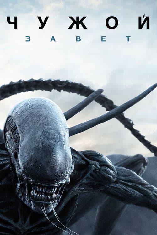 Постер 9