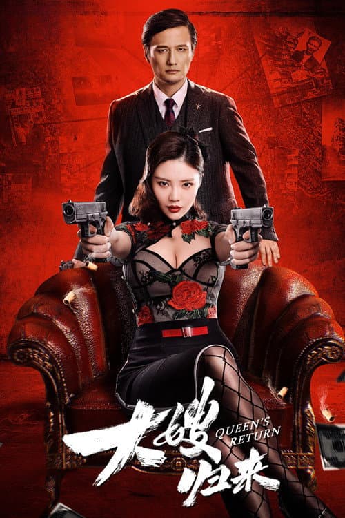 Постер: 大嫂归来