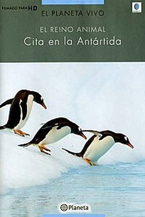 Постер: Rush Hour in Antarctica