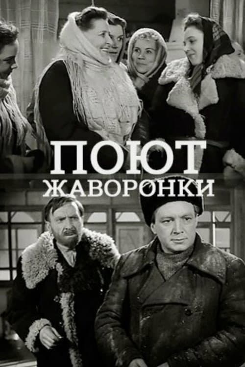 Постер: Поют жаворонки