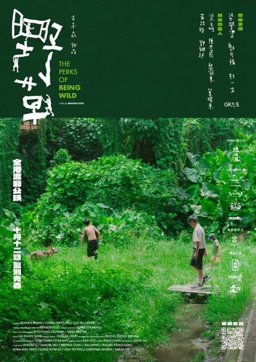 Постер: 野草