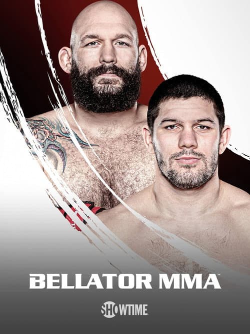 Постер: Bellator 261: Johnson vs. Moldavsky