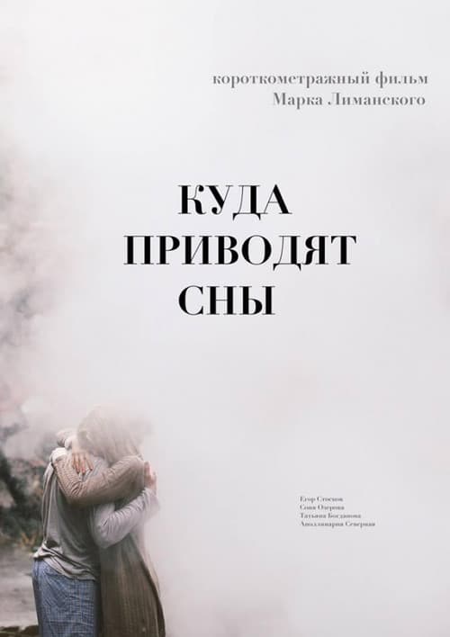 Постер: Куда приводят сны