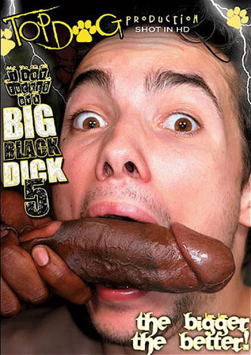 Постер: I Got Fucked by a Big Black Dick 5