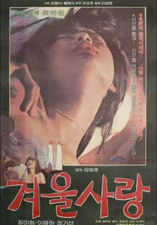 Постер: 겨울사랑